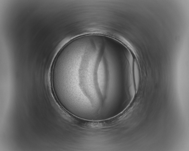 X0000116331291200912091032