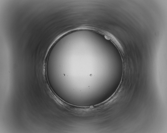 X0000116331292200912091032
