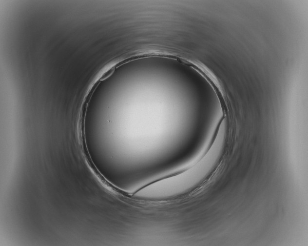 X0000116331293200912091032
