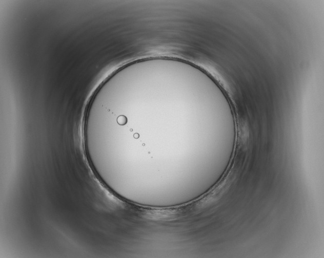 X0000116331294200912091032