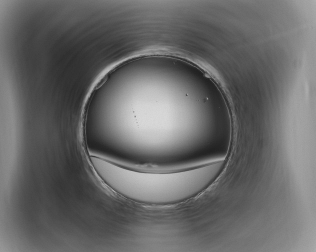 X0000116331296200912091032