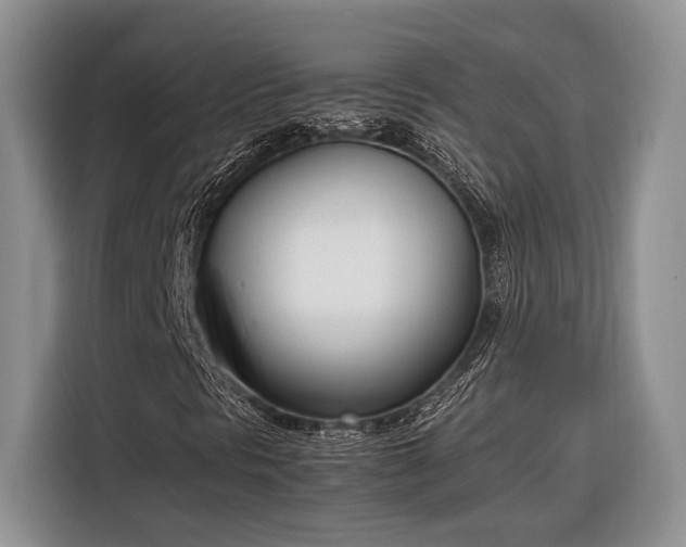 X0000116331297200912091031