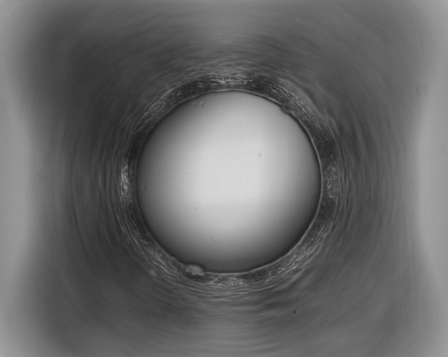 X0000116331298200912091031