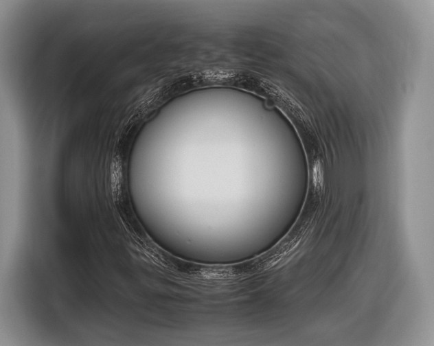 X0000116331299200912091031