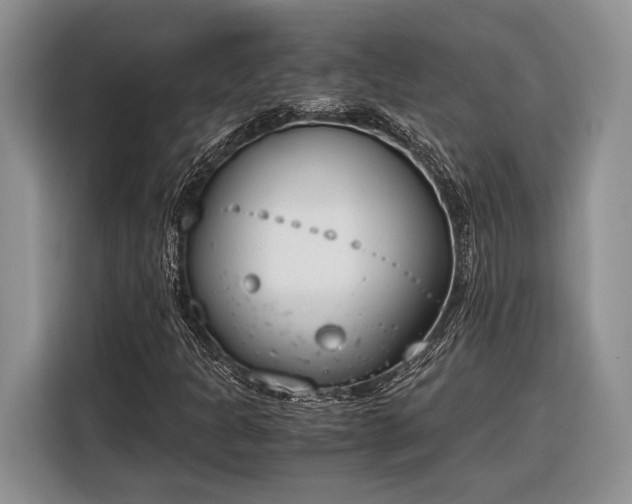 X0000116331301200912091031