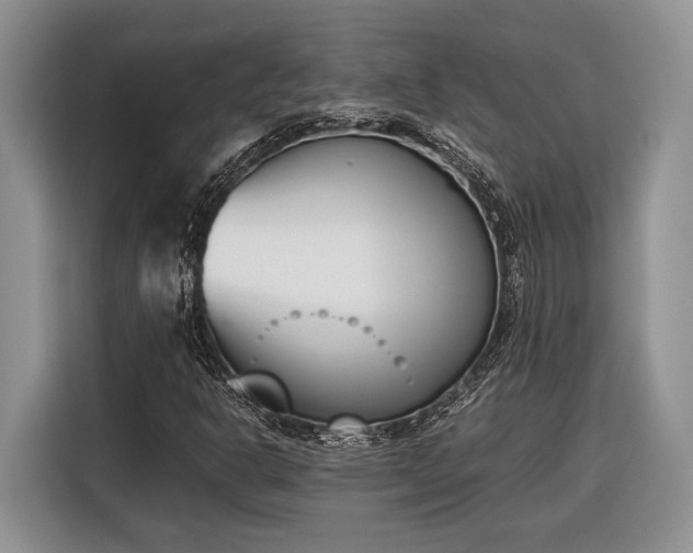 X0000116331302200912091031