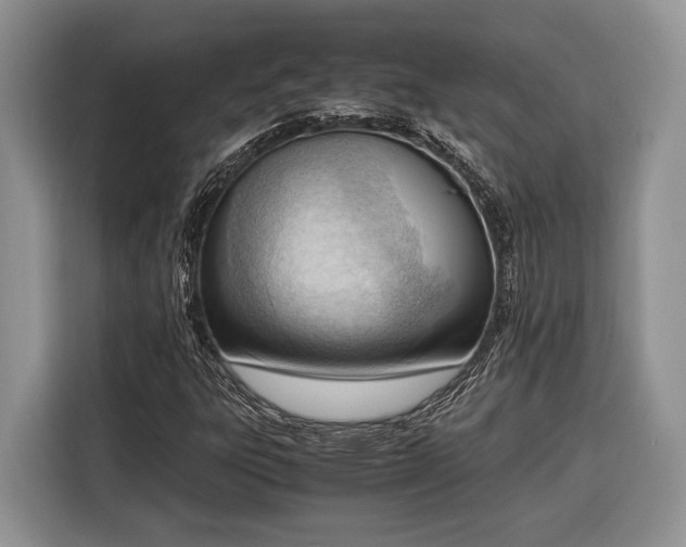 X0000116331303200912091031