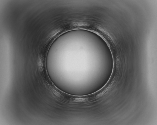 X0000116331305200912091031