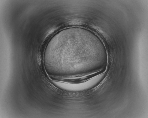 X0000116331306200912091031