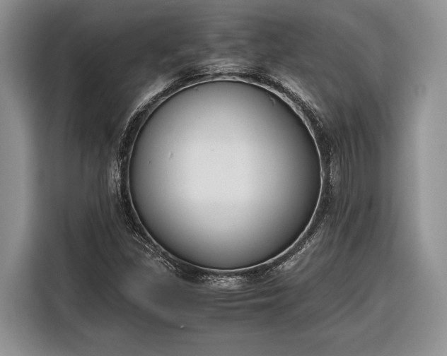 X0000116331309200912091031
