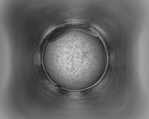 X0000116331310200912091031