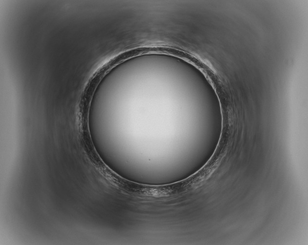 X0000116331311200912091031
