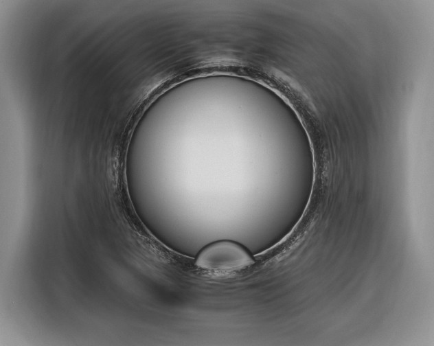 X0000116331313200912091031