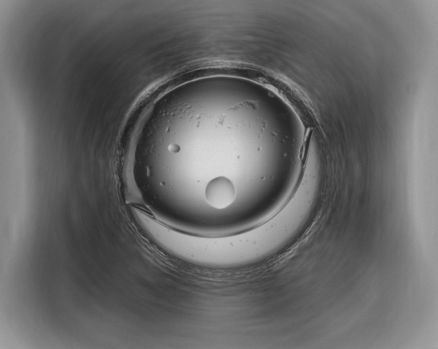 X0000116331314200912091031