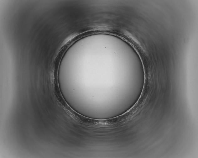X0000116331315200912091031