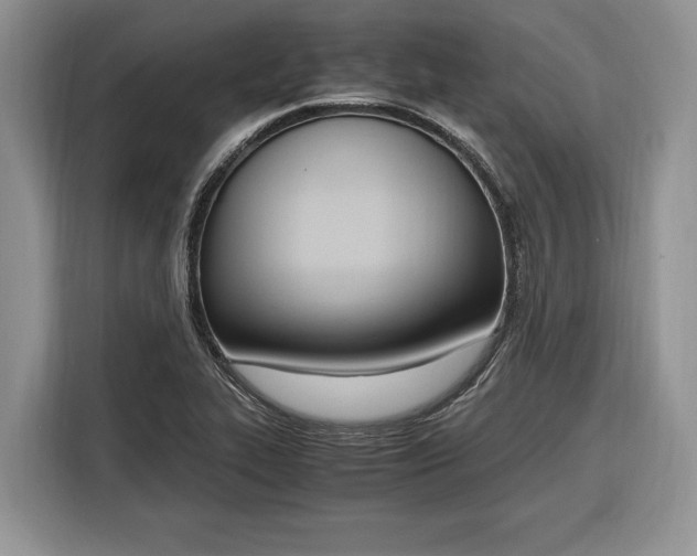 X0000116331319200912091031