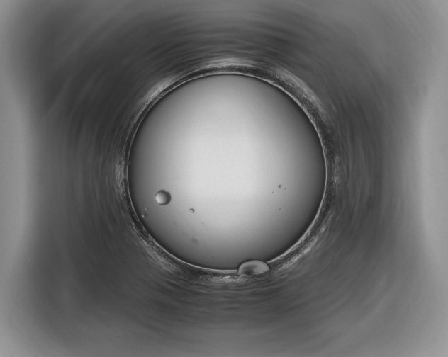 X0000116331321200912091031