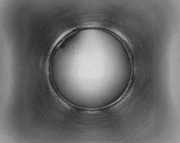 X0000116331325200912091031