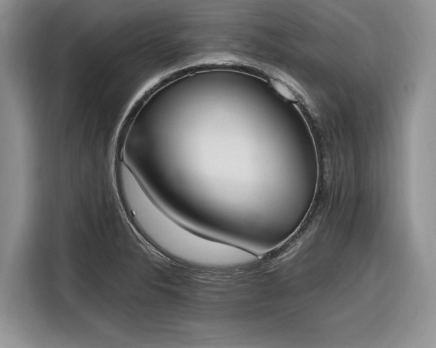 X0000116331326200912091031