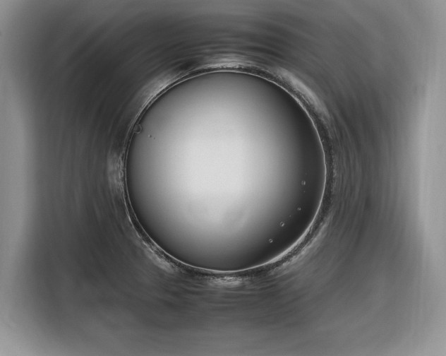 X0000116331329200912091031