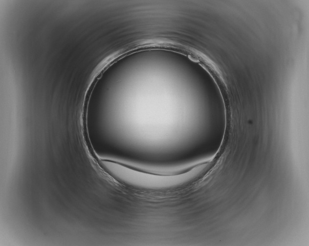 X0000116331330200912091031