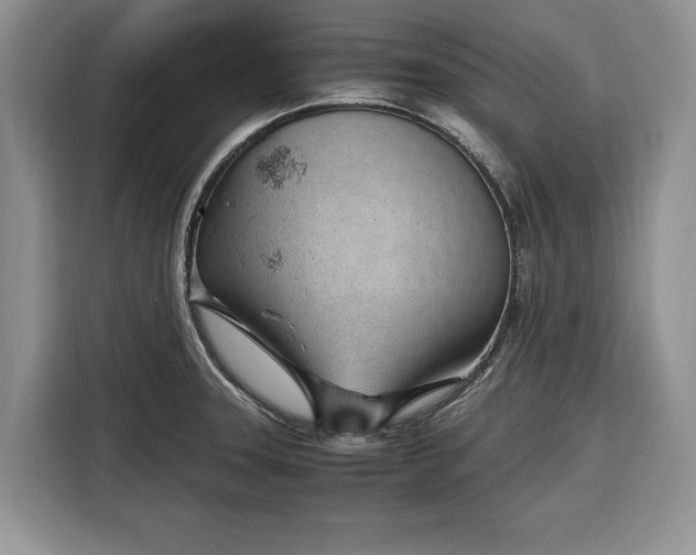 X0000116331331200912091031