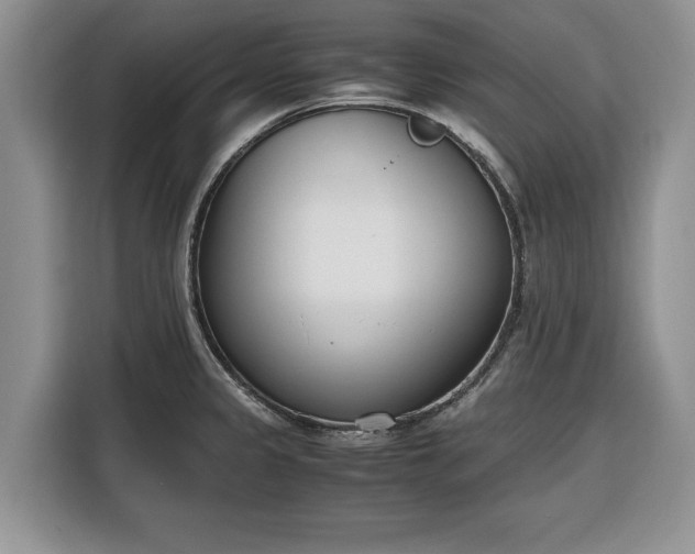 X0000116331333200912091031