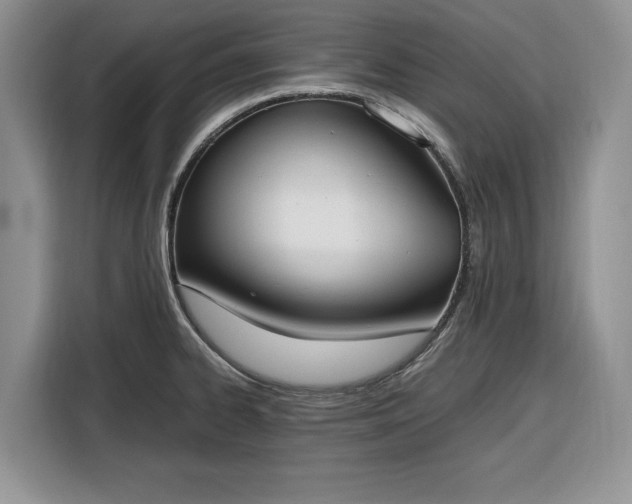 X0000116331334200912091031