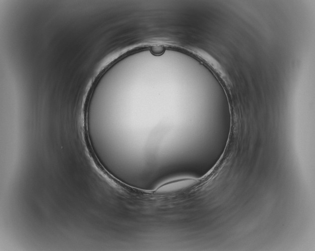 X0000116331335200912091031