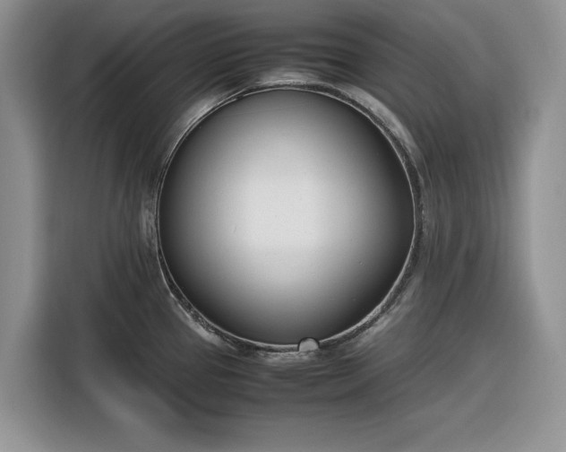 X0000116331337200912091031