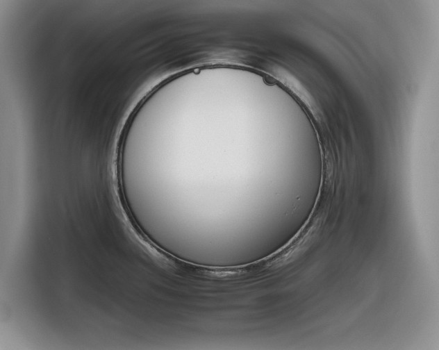 X0000116331339200912091031
