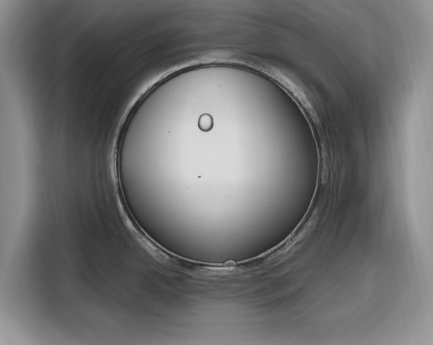 X0000116331342200912091032