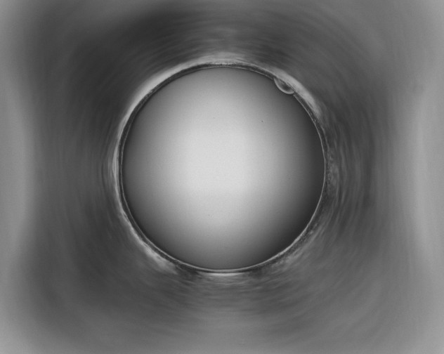X0000116331343200912091032