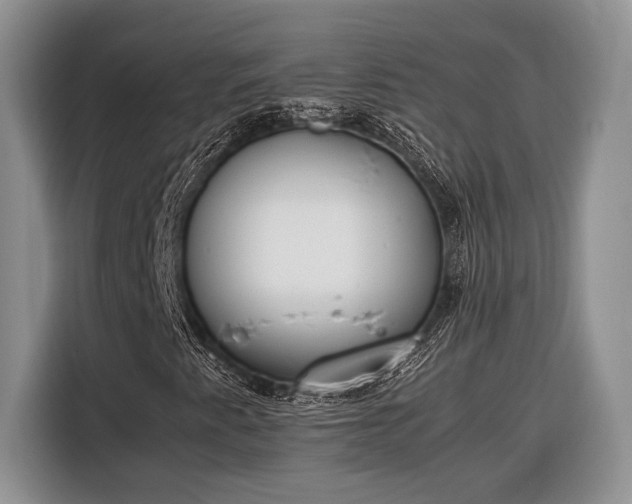 X0000116331345200912091031