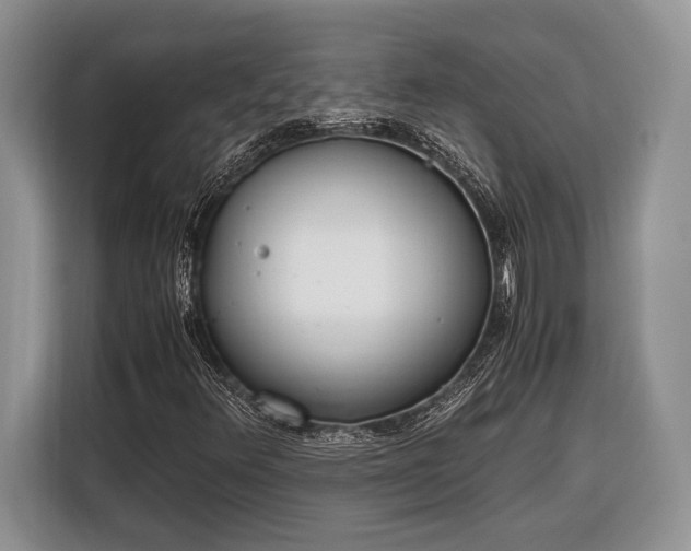 X0000116331348200912091031