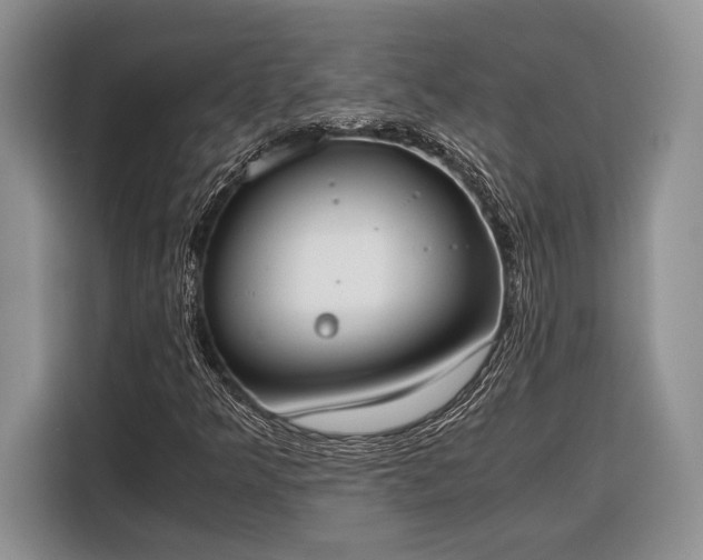 X0000116331349200912091031