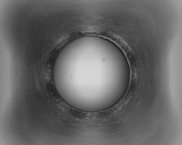X0000116331350200912091031