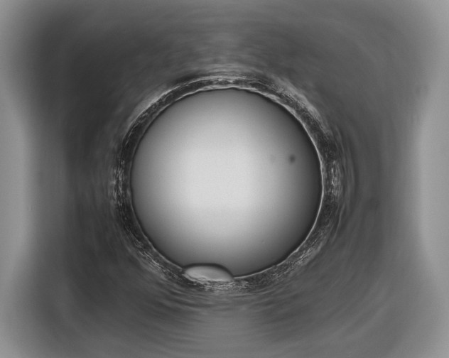 X0000116331352200912091031