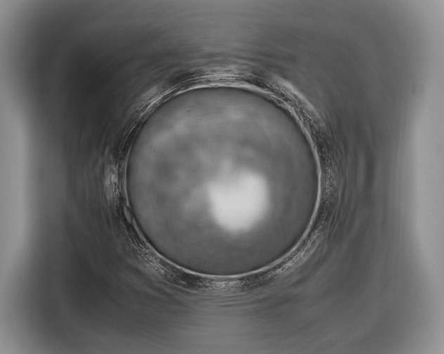 X0000116331353200912091031