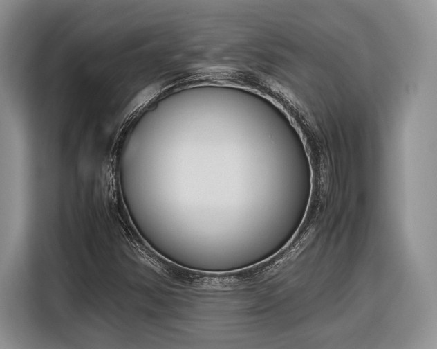 X0000116331354200912091031