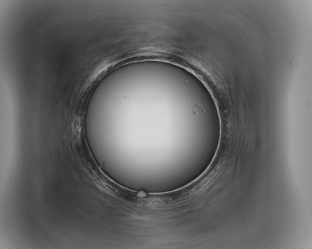 X0000116331355200912091031