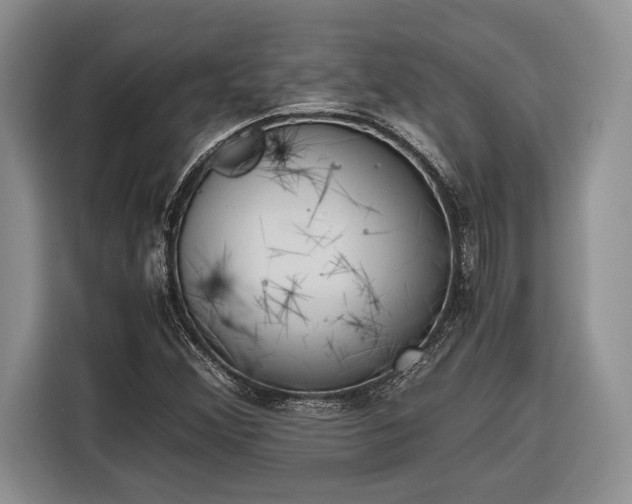 X0000116331356200912091031