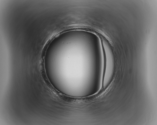 X0000116331357200912091031