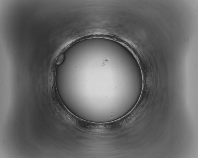 X0000116331359200912091031