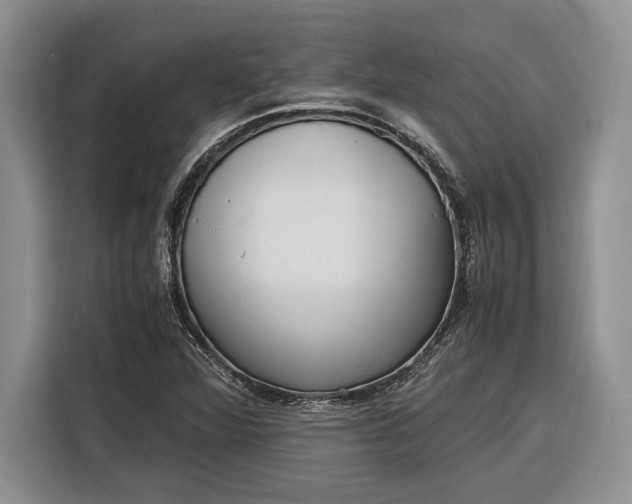 X0000116331360200912091031