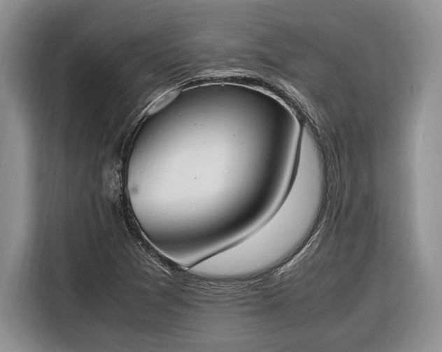 X0000116331361200912091031