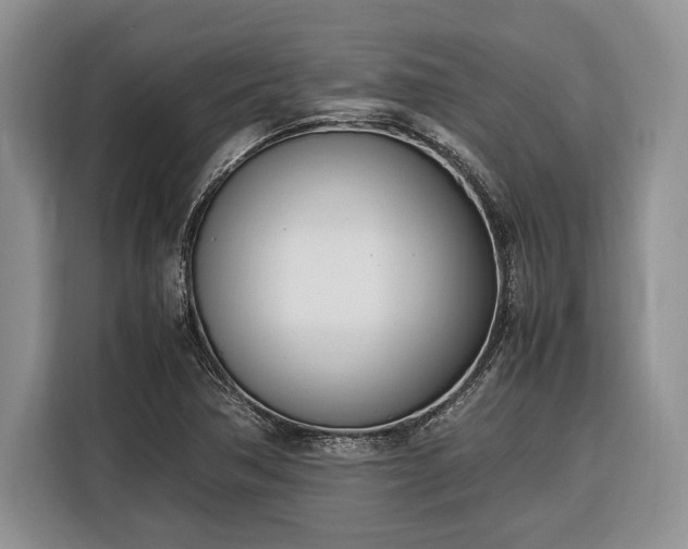 X0000116331362200912091031
