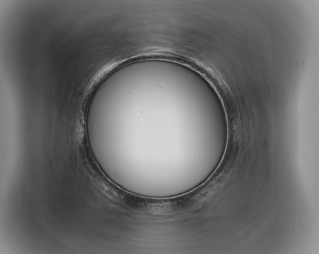 X0000116331363200912091031