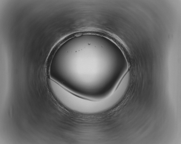X0000116331364200912091031