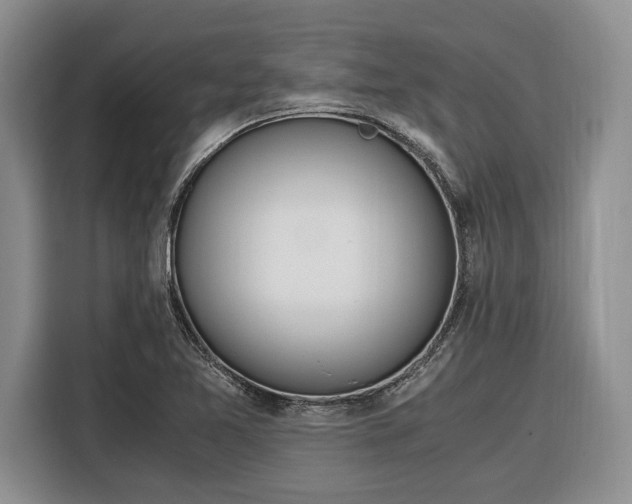 X0000116331365200912091031